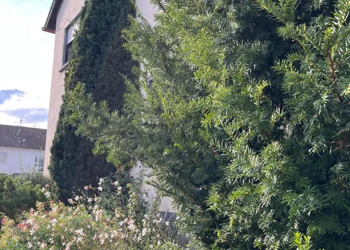 Apartament Kirchgarten Niederkirchen bei Deidesheim