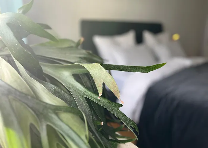 Apartament Kirchgarten